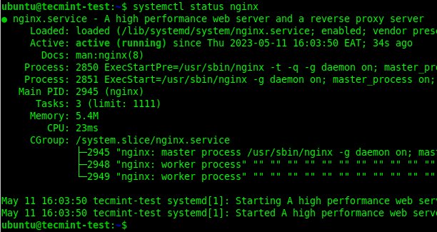 Check Nginx Status