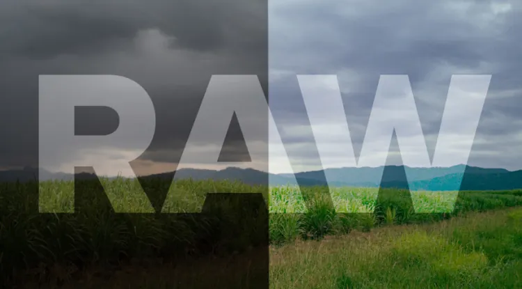 Định dạng ảnh RAW: Khái niệm và đặc điểm