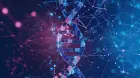 CRISPR quá lớn để đóng gói vào một số vector: TIGRa chọn nhỏ đi thay vì mạnh hơn