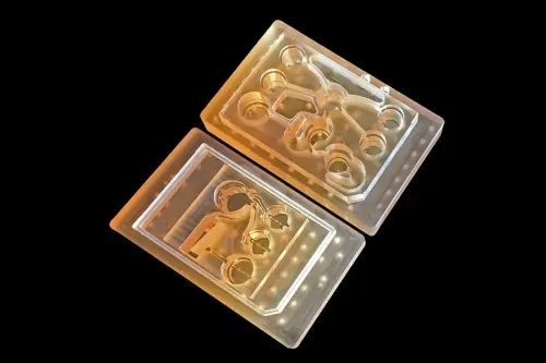 Cơ thể người trên một con chip: Công nghệ mới tiến thêm một bước tới thay thế thử nghiệm động vật