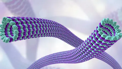 Không cần “xây” vật liệu từng lớp: Polymer tương lai có thể học cách tự lắp ráp giống protein