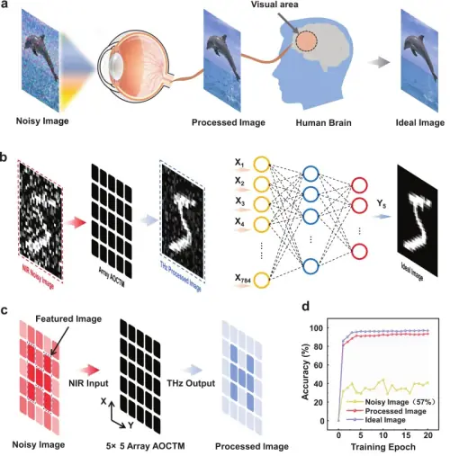 Camera tương lai có thể “suy nghĩ” ngay khi nhìn: Neuromorphic sensor muốn đưa thị giác xuyên vật cản vào kính AR