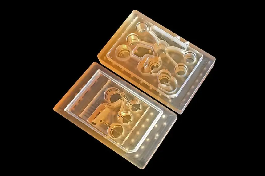Cơ thể người trên một con chip: Công nghệ mới tiến thêm một bước tới thay thế thử nghiệm động vật
