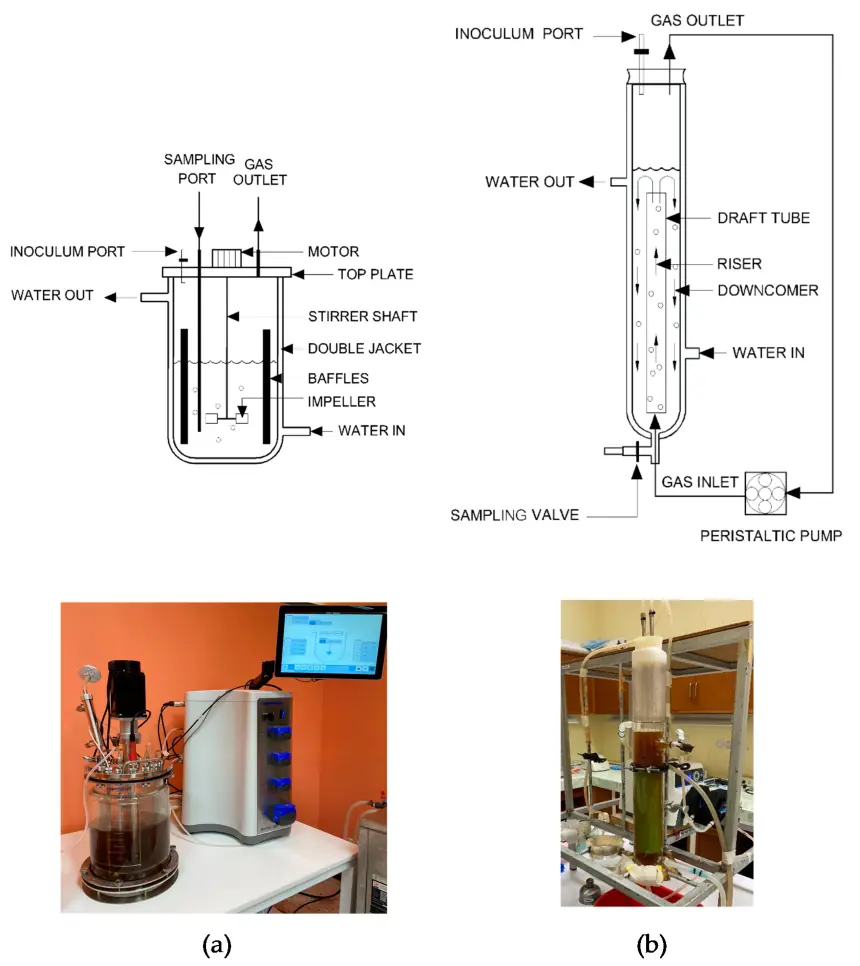 Sau ethanol là butanol? Cuộc săn nhiên liệu sinh học mới muốn thay đổi xăng mà không cần thay cả động cơ