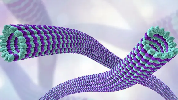Không cần “xây” vật liệu từng lớp: Polymer tương lai có thể học cách tự lắp ráp giống protein