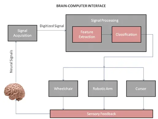 Brain-computer interface đang thiếu một thứ smartphone đã có: Một kiến trúc hoàn chỉnh từ neuron tới software