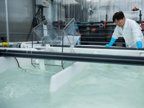 Nhà máy desalination thường xả brine trở lại biển: Dòng nước thải này có thể trở thành một “mỏ” khoáng chất