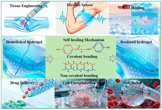 Vật liệu bảo vệ không cần cứng như thép: Hydrogel mới hấp thụ va đập rồi tự “chữa lành”